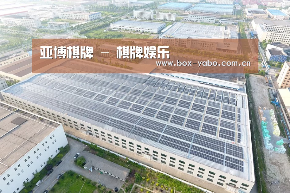 案例展示二