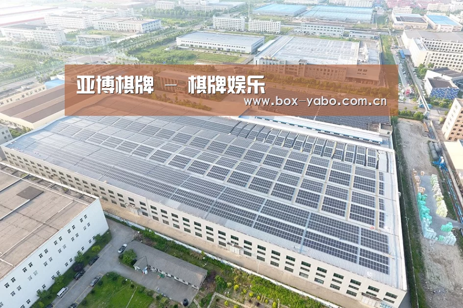案例展示一