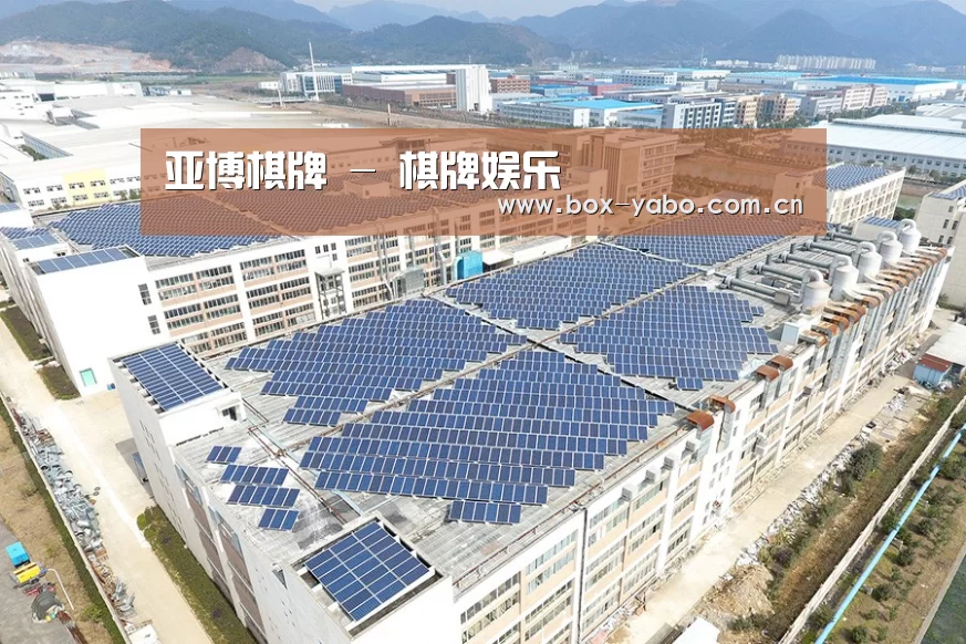 案例展示一
