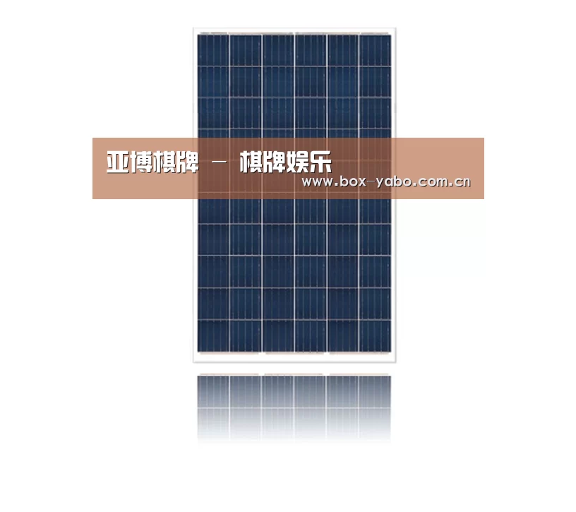 产品名称一