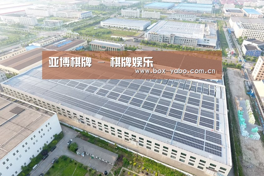 案例展示二