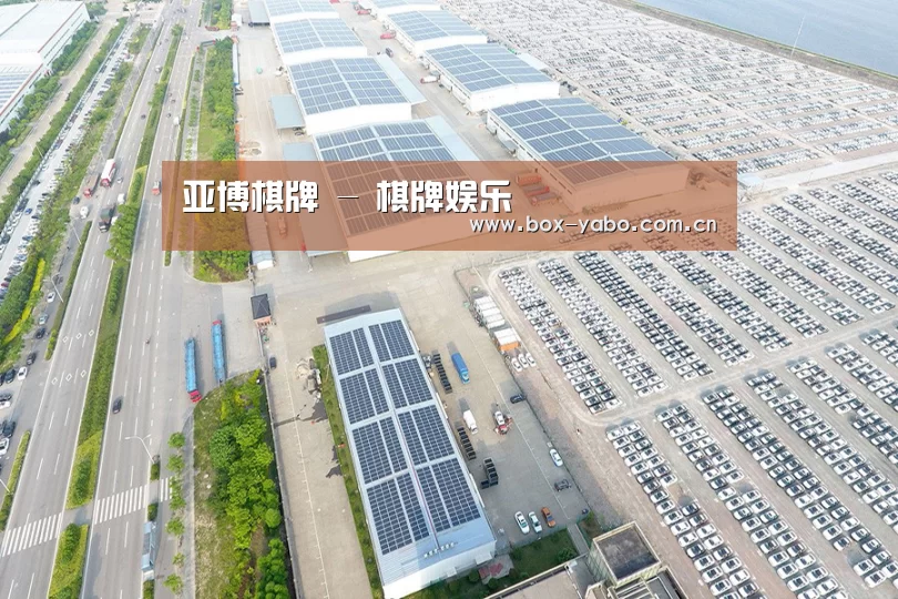 案例展示一