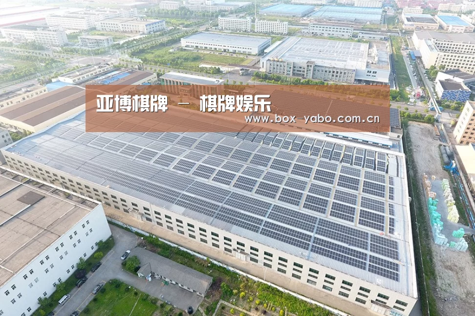 案例展示三