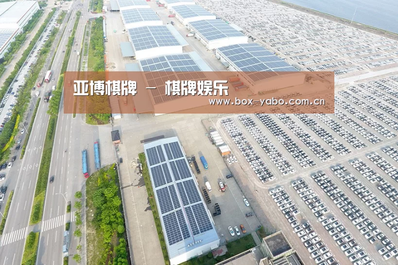 案例展示一