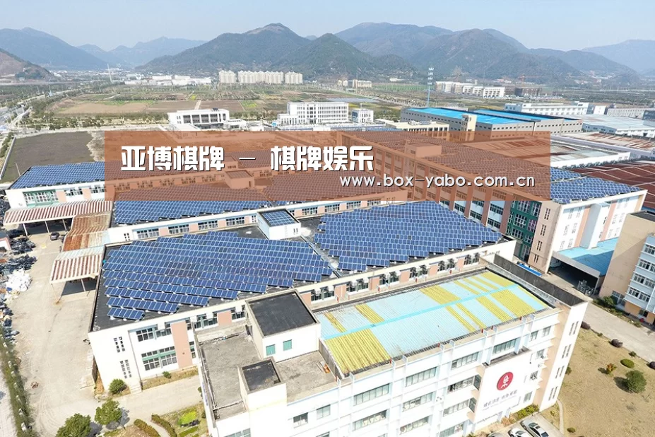 案例展示三