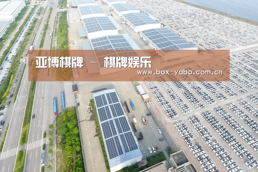 案例展示三