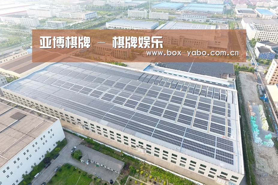 案例展示四