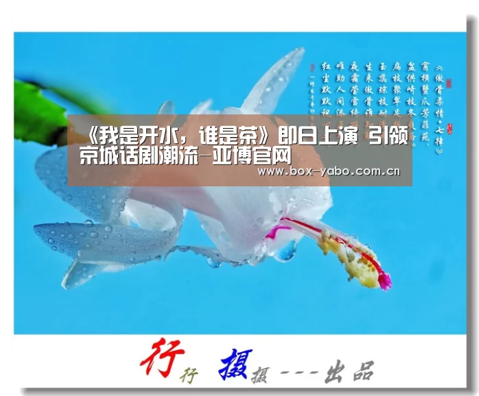 《我是开水，谁是茶》即日上演 引领京城话
